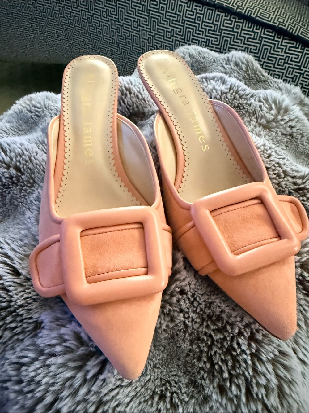 Allegra James Blush Pink Pointed Mule with Statement Buckle